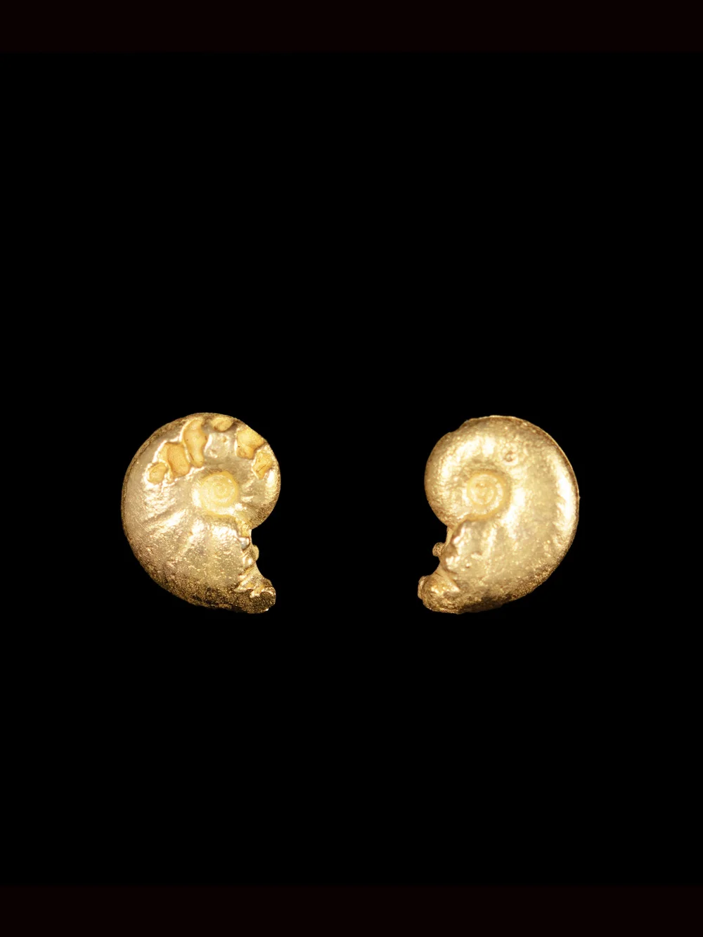 Ammonite Gold Stud Earrings