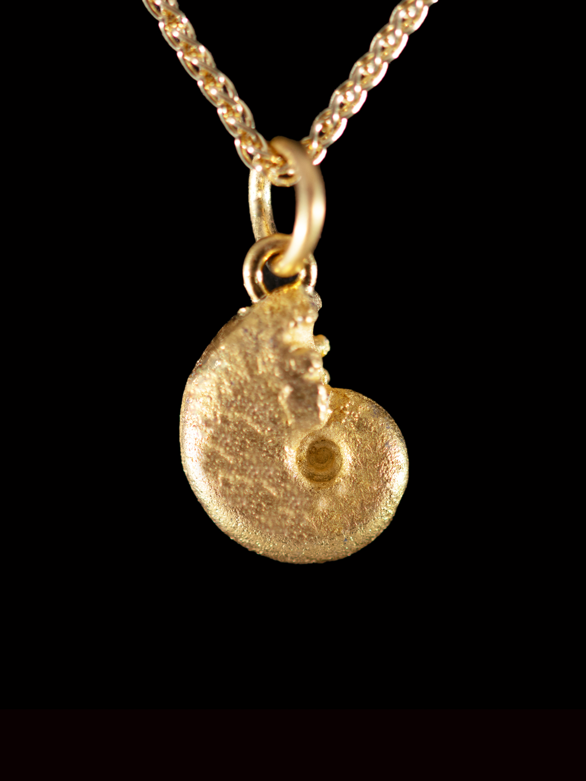 Ammonite Gold Pendant